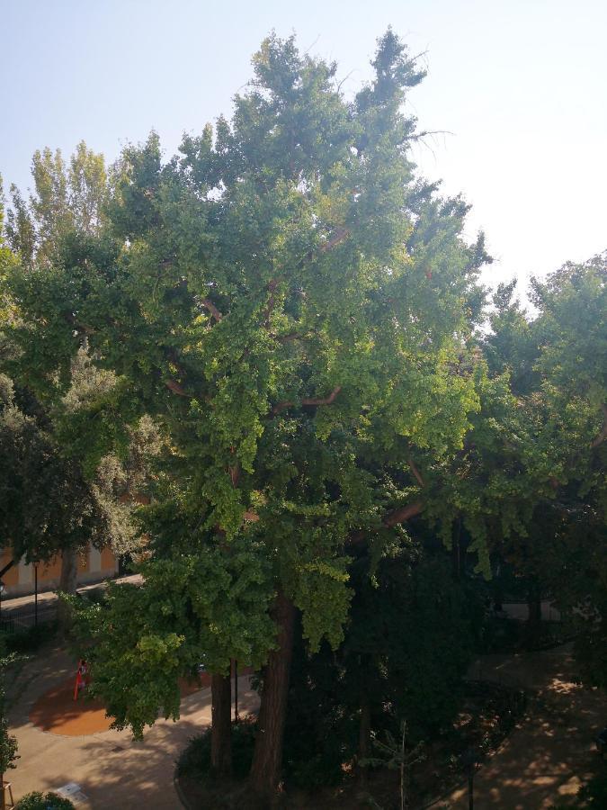 B&B Adelaide Triest Zewnętrze zdjęcie